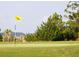 Close up view of the meticulously maintained community golf course highlighting a well-groomed green and flag at 1800 Palmetto Isle Dr, Mount Pleasant, SC 29466