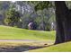 Players enjoying a round of golf on a vibrant green course, part of an attractive community amenity at 1800 Palmetto Isle Dr, Mount Pleasant, SC 29466