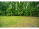 Grassy backyard with some fallen leaves and mature trees at 215 Bramblewood Dr, Summerville, SC 29485