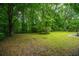 Spacious backyard with lawn and mature trees at 215 Bramblewood Dr, Summerville, SC 29485