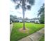 A condo complex with a manicured lawn and palm trees at 2494 Etiwan Ave # 9-D, Charleston, SC 29414