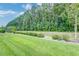 Green backyard featuring lush green grass, a tree line, and manicured bushes, offering privacy at 2582 Kingsfield St, Mount Pleasant, SC 29466