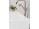 Modern bathroom features a tub with chrome fixtures and a pot with greenery at 27 Watroo Pt, Daniel Island, SC 29492