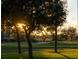Scenic golf course view with mature trees and the sun peaking over the green at 27 Watroo Pt, Daniel Island, SC 29492