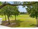 Scenic view of the golf course with mature trees, rolling hills, and manicured green at 27 Watroo Pt, Daniel Island, SC 29492
