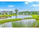 Picturesque community pond surrounded by lush greenery, providing a serene natural backdrop at 2710 Mcfadden Way, Johns Island, SC 29455