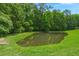 Scenic view of a serene pond surrounded by lush green grass and mature trees, perfect for a peaceful retreat at 333 Flyway Rd, Goose Creek, SC 29445