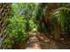 Scenic wooden walking path featuring lush greenery and palm trees on either side, inviting exploration and relaxation at 43 Surfsong Rd, Kiawah Island, SC 29455