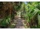 Charming wood path leading to a welcoming home nestled among palm trees at 43 Surfsong Rd, Kiawah Island, SC 29455