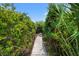 Scenic wood walkway surrounded by lush greenery and tropical foliage at 43 Surfsong Rd, Kiawah Island, SC 29455
