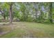 Lush backyard with towering trees providing ample shade and privacy for relaxation and enjoyment at 436 Fox Hunt Rd, Goose Creek, SC 29445