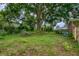 Spacious backyard with lush green grass, shed, and large mature tree provides a serene outdoor space at 444 Clarine Dr, Goose Creek, SC 29445