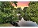 Scenic pond reflecting lush greenery, creating a serene natural view at 448 Jardinere Walk, Mount Pleasant, SC 29464