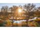 Scenic marsh view at sunrise with trees framing the golden light over the wetlands at 810 Curved Creek Ct, James Island, SC 29412