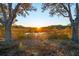 Scenic marsh view with trees silhouetted by the sunrise, creating a tranquil landscape at 810 Curved Creek Ct, James Island, SC 29412