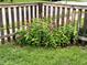 Charming flowerbed featuring colorful flowers, adding a touch of natural beauty to the property's exterior at 100 Runnels Cv, Summerville, SC 29485