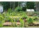 Landscaped garden featuring a greenhouse, raised garden beds, and grapevines at 119 White Picket Ln, Summerville, SC 29483
