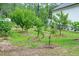 Well-maintained yard with mulched trees at 119 White Picket Ln, Summerville, SC 29483