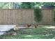 Idyllic backyard setting with a wooden fence and free-range chickens, creating a tranquil, country-like atmosphere at 127 Roberts Rd, Summerville, SC 29483
