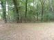 Beautiful wooded area behind the property, providing privacy and a serene natural setting at 1277 Russellville Rd, Saint Stephen, SC 29479