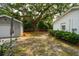 Well-maintained backyard with lush trees, shed, and ample space at 1408 Goblet Ave, Mount Pleasant, SC 29464