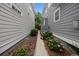 Landscaped side yard with lush hydrangeas at 1557 Kepley Dr, Mount Pleasant, SC 29464