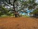 Community playground featuring a custom tree house surrounded by wood mulch and fencing at 157 Village Ponds Dr, Summerville, SC 29483