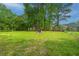 Spacious backyard features a fire pit and shed with a large grassy area and mature trees at 1917 Piper Dr, Charleston, SC 29407