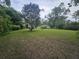 Large grassy backyard surrounded by mature trees and foliage at 207 Cedar St, Saint George, SC 29477
