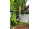 Palm tree and other greenery border a backyard, with a white fence and raised garden beds adding texture and visual appeal at 293 Grove St, Charleston, SC 29403
