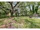 Overgrown backyard featuring trees and greenery at 3043 Matipan Ave, North Charleston, SC 29405