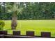 Beautiful golf course view with a palm tree in the foreground at 801 Ventura Pl, Mount Pleasant, SC 29464