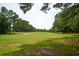 Scenic golf course view with lush green grass and mature trees on a sunny day at 801 Ventura Pl, Mount Pleasant, SC 29464