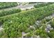 Overhead view showcasing a serene community, nestled in lush greenery at 127 White Pine Way, Summerville, SC 29485