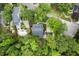 Property and pool viewed from above nestled in a canopy of lush green trees at 127 White Pine Way, Summerville, SC 29485