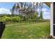 Backyard with fence, green grass, and dense trees beyond, offering privacy and a natural backdrop at 1384 Locals St, Summerville, SC 29485