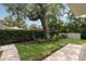 Manicured backyard featuring a lush lawn, privacy hedges, and a charming tree with a swing at 1405 Mataoka St, Mount Pleasant, SC 29464