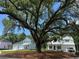 New construction homes under large live oak tree with Spanish moss at 1427 Dahlia Rd, Mount Pleasant, SC 29464
