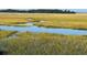 Beautiful marshland with a flowing creek under a blue sky at 1815 Long Bend Dr, Seabrook Island, SC 29455