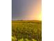 Scenic marsh view at sunset, highlighting the natural beauty of the surrounding landscape at 1815 Long Bend Dr, Seabrook Island, SC 29455