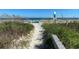 Scenic path to the beach with lush dune grasses, offering a serene and inviting access point to the ocean at 30 Beachside Dr, Isle of Palms, SC 29451