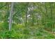 Lush backyard filled with an array of green trees and various shrubs at 3152 Riverine, Charleston, SC 29414