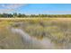 Picturesque marsh view with tall grasses and a small waterway, showcasing the natural beauty of the coastal landscape at 3152 Riverine, Charleston, SC 29414