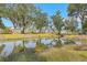 Serene pond reflecting nearby homes and trees, enhancing the neighborhood's tranquil ambiance and natural beauty at 3152 Riverine, Charleston, SC 29414