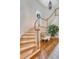 Elegant staircase featuring hardwood steps, a curved landing, and a large arched window at 392 Tombee Ct, Mount Pleasant, SC 29464