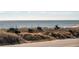 Scenic view of the ocean and beach vegetation along the coast at 405 Palmetto Blvd, Edisto Island, SC 29438