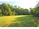 Expansive green community field surrounded by mature trees at 67 Regency Oaks Dr, Summerville, SC 29485