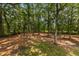 Large backyard featuring mature trees creating a private outdoor retreat at 6840 Early Jersey Rd, Meggett, SC 29449