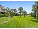 Spacious backyard with manicured lawn and mature palm trees leading to waterfront at 8964 Palmetto Rd, Edisto Island, SC 29438