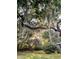 Tranquil backyard featuring mature trees with Spanish moss, complemented by lush greenery and a glimpse of the home at 1351 Winifred St, Mount Pleasant, SC 29464